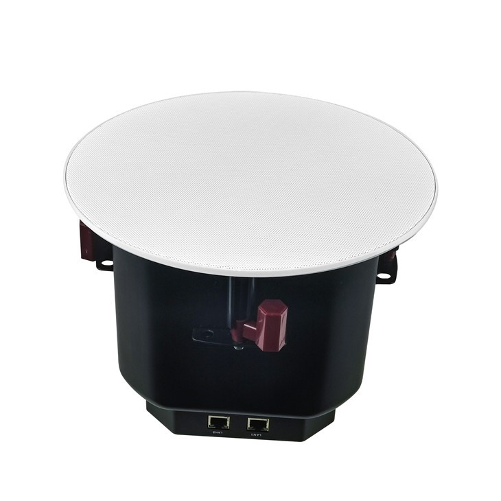 6' Vailink Network Coaxial Ceiling Speaker -2
